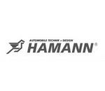  Hamann ()