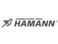 Hamann ()